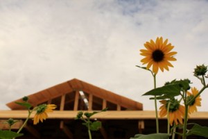 Community Rebuilds Site